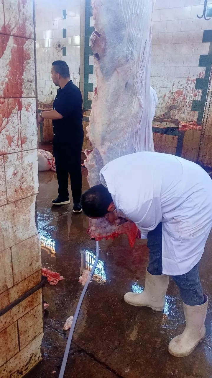 الزراعة تعلن ذبح 35,514 أضحية بالمجازر الحكومية