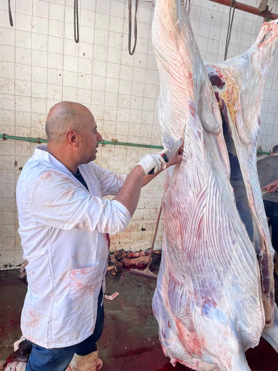 الزراعة تعلن ذبح 35,514 أضحية بالمجازر الحكومية