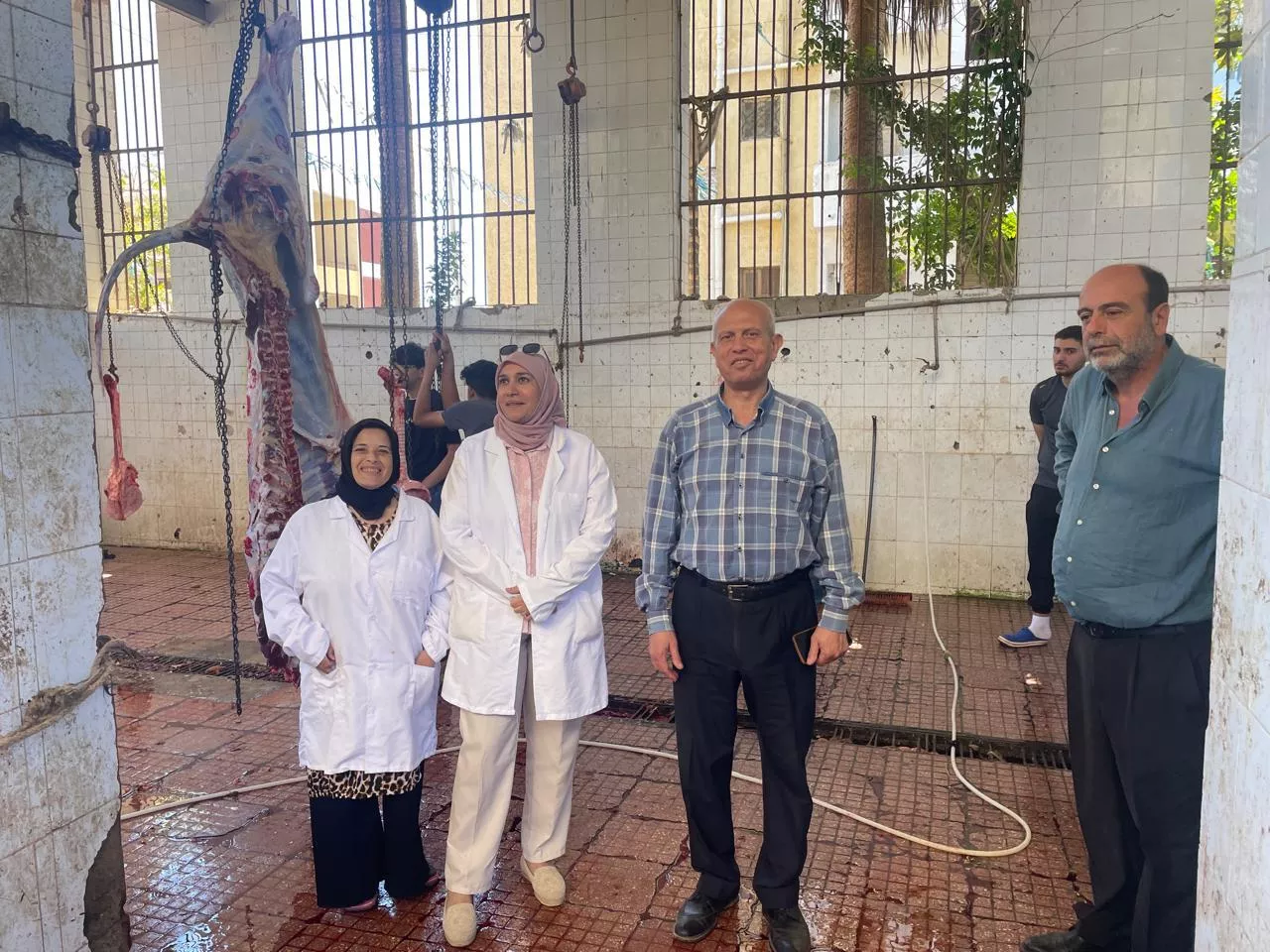 الزراعة تعلن ذبح 35,514 أضحية بالمجازر الحكومية