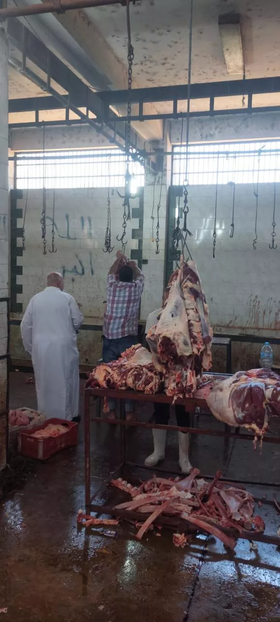 الزراعة تعلن ذبح 35,514 أضحية بالمجازر الحكومية