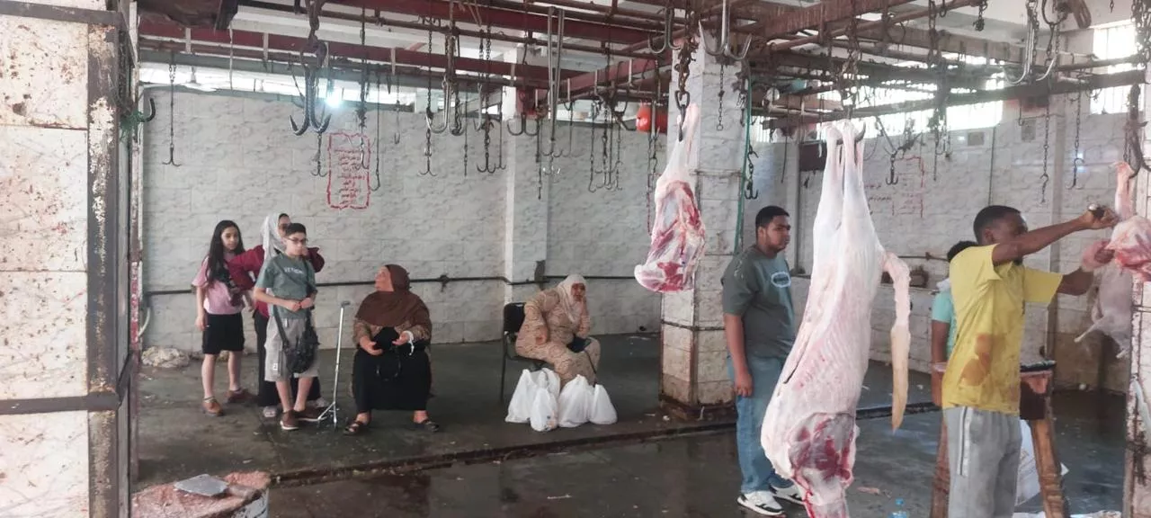 الزراعة تعلن ذبح 35,514 أضحية بالمجازر الحكومية
