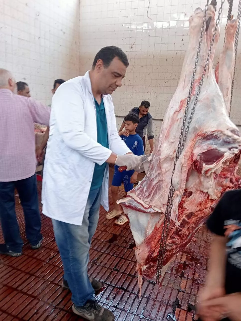 الزراعة تعلن ذبح 35,514 أضحية بالمجازر الحكومية