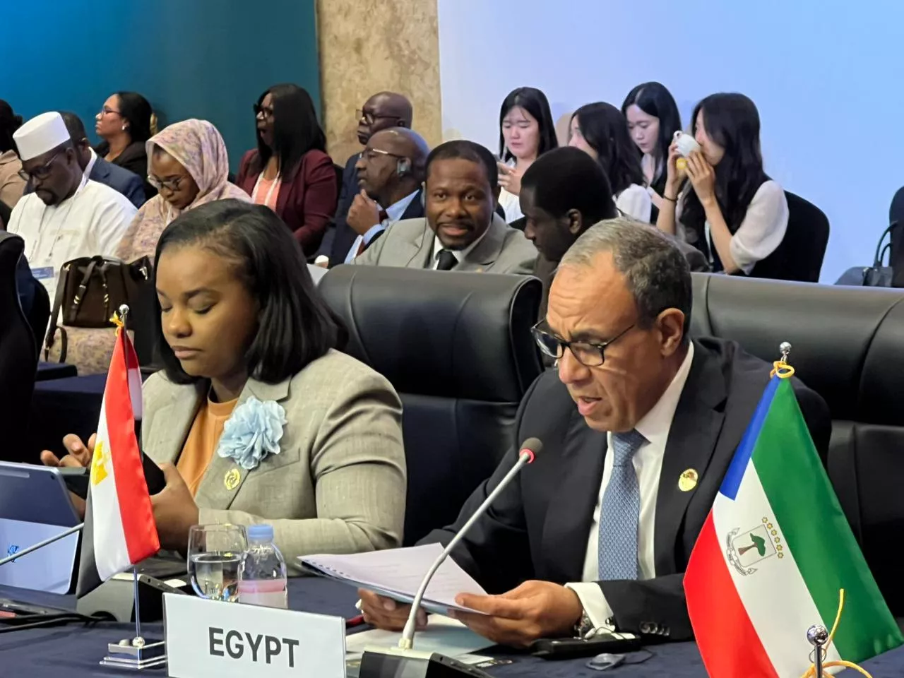 مصر تدعو لتعزيز الشراكة الكورية الأفريقية