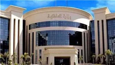 «الداخلية» تقرر السماح لـ 294 مواطنًا مصريًا بالحصول على جنسيات أجنبية