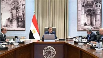 مصر تدرس مقترحًا لإنشاء مركز توزيع لوجيستي عالمي بـ «اقتصادية قناة السويس»