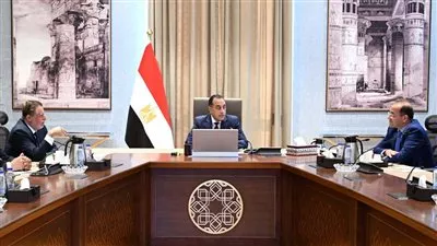 مدبولي يستعرض جهود تعزيز احتياطيات النقد الأجنبي والمخزون الاستراتيجي من السلع