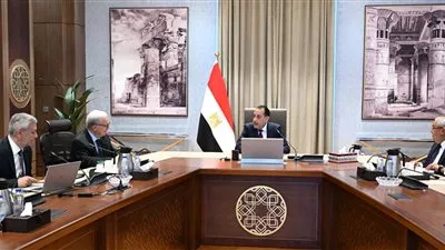 رئيس الوزراء يستعرض خطة تطوير أداء «القابضة للأدوية» والشركات التابعة