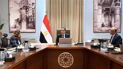 المصدر