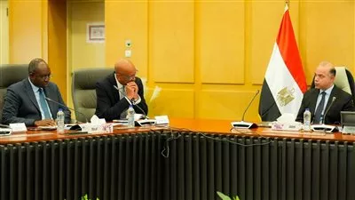 وزير «الاستثمار» يبحث مع مؤسسة التمويل الدولية تطوير بيئة الأعمال والتحول الرقمي