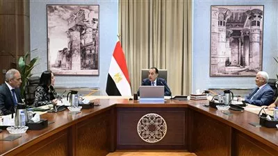 المصدر