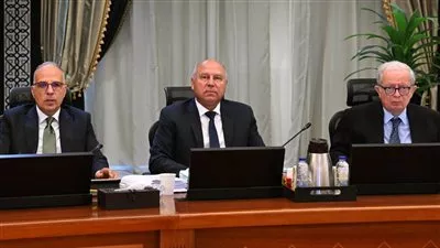 الحكومة تستكمل إجراءات منح إدارة وتشغيل محطة الركاب بميناء الإسكندرية