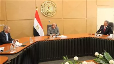 مباحثات مصرية - صينية للتعاون في تحديث شبكة الكهرباء ودمج الطاقة المتجددة