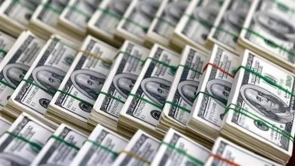 Dollar rate in Egyptian banks June 1