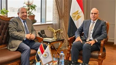 وزيرا «الري» و«الكهرباء» يبحثان التوسع في استخدام الطاقة الشمسية بمحطات الرفع 