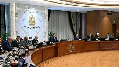 مجلس الوزراء يوافق على تخصيص 73 ألف فدان لصندوق «تحيا مصر»
