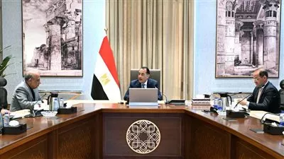 رئيس الوزراء يتابع إجراءات توفير التمويل لمشروعات الطاقة المتجددة