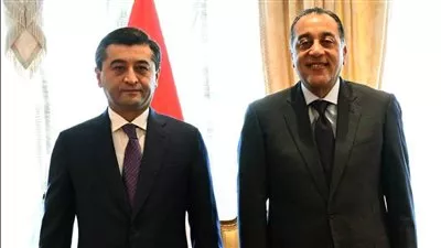 المصدر