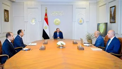 الرئيس السيسي يستعرض مستجدات المرحلة الثانية من مشروعات تدعيم الشبكة القومية للكهرباء