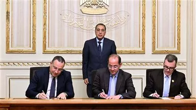 المصدر