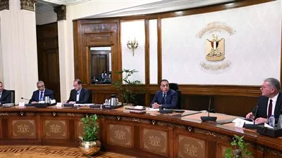 المصدر
