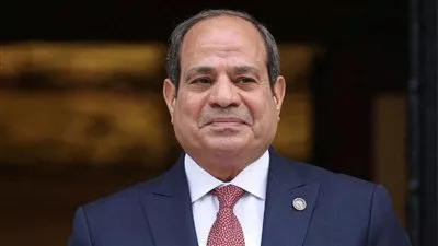 السيسي يوافق على ربط الحساب الختامي لموازنة هيئة المشروعات الصناعية والتعدينية