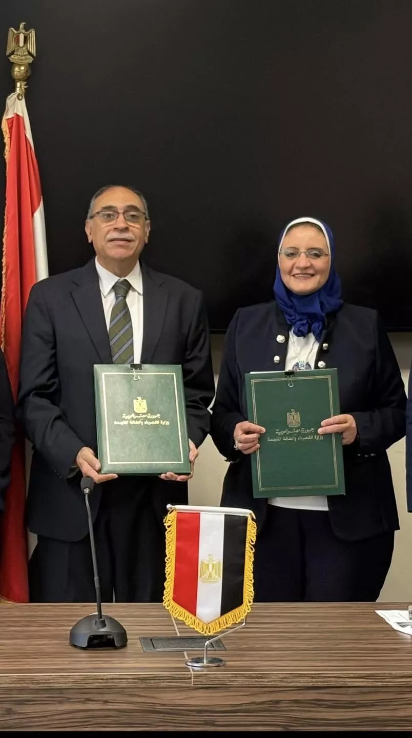 المصرية لنقل الكهرباء توقع عقدًا مع شركة وادي النيل