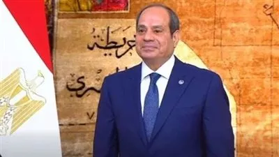 السيسي يوافق على ربط الحساب الختامي لموازنة جهاز تنمية التجارة الداخلية