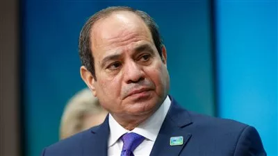 قرار جمهوري بإضافة 140 فدان لمنطقة أبو خليفة الصناعية باقتصادية قناة السويس