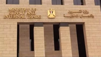 المصدر