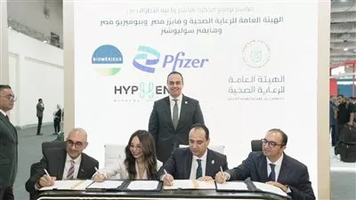 المصدر