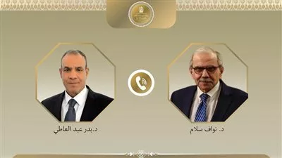 وزير «الخارجية» يؤكد تضامن مصر مع لبنان في مواجهة التحديات الراهنة