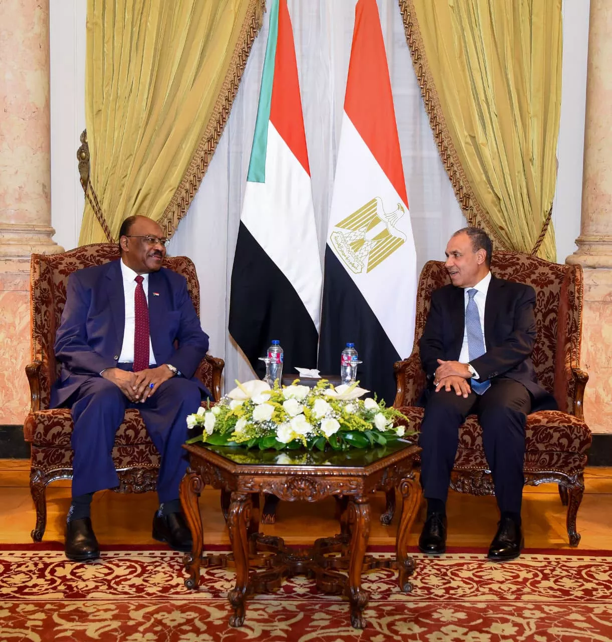وزير الخارجية يلتقي نظيره السوداني