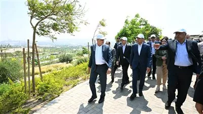المصدر