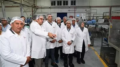 المصدر