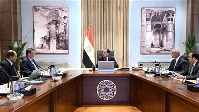 الحكومة تدرس إنشاء 5 محطات جديدة للثروة الحيوانية بطاقة 30 ألف رأس