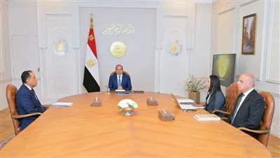 الرئيس السيسي يوجه بوضع خريطة تنموية مُتكاملة لقطاع الحضانات في مصر