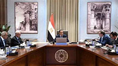 المصدر