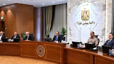 تحويل جهاز تنمية التجارة الداخلية إلى هيئة عامة خدمية