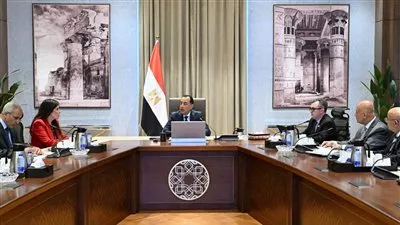 المصدر