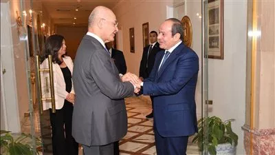 الرئيس السيسي يؤكد أهمية زيادة الدعم الدولي لمصر للتعامل مع قضايا اللجوء