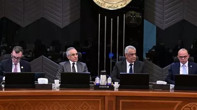 المصدر
