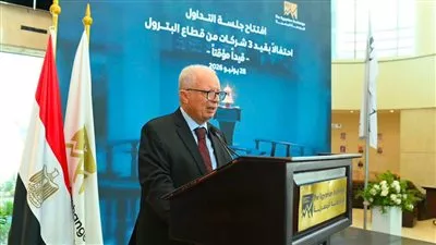 قيد 4 شركات حكومية في البورصة المصرية ضمن برنامج الطروحات
