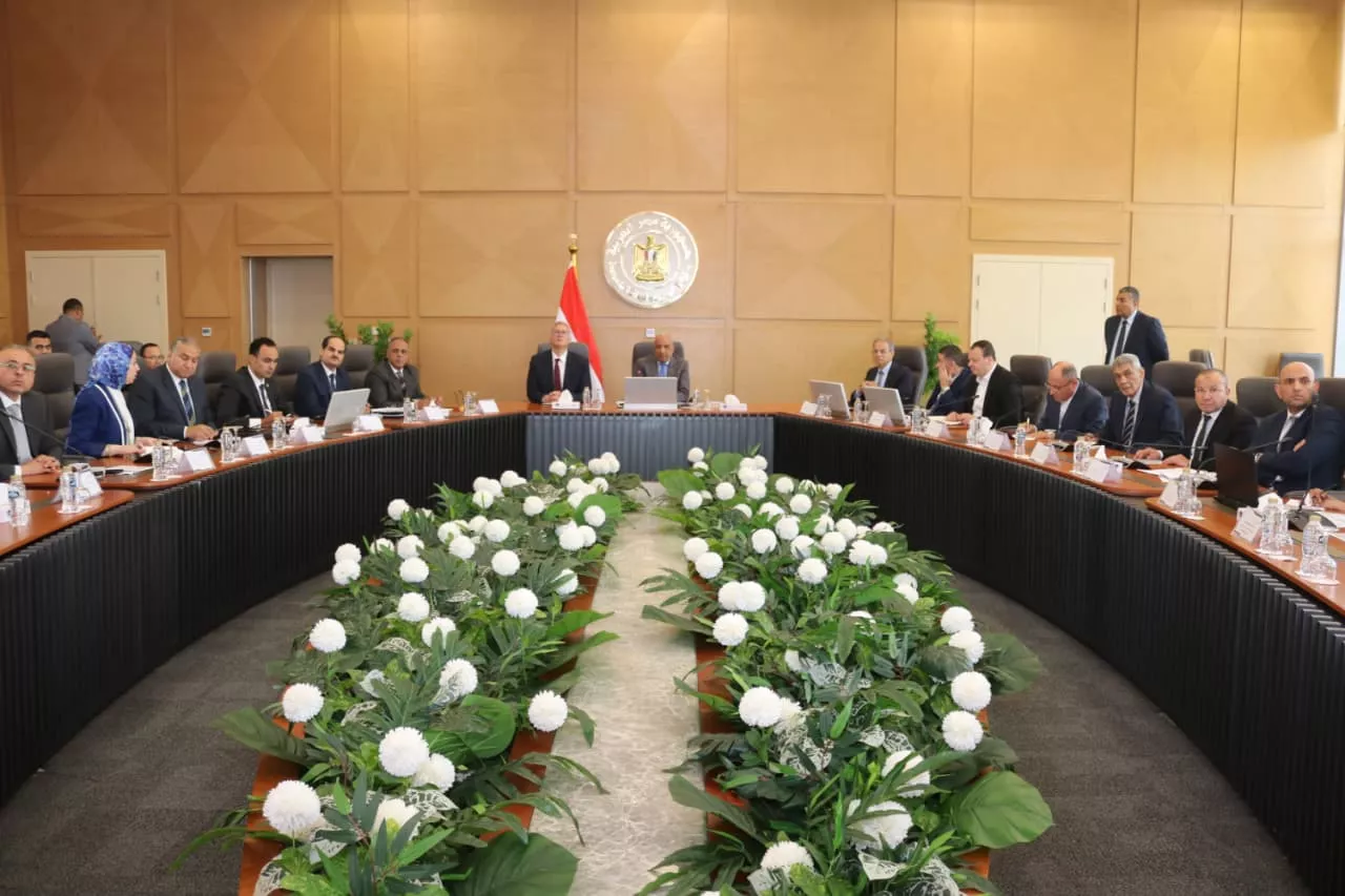 وزيرا البترول والكهرباء يناقشان خطة تأمين الكهرباء بالصيف