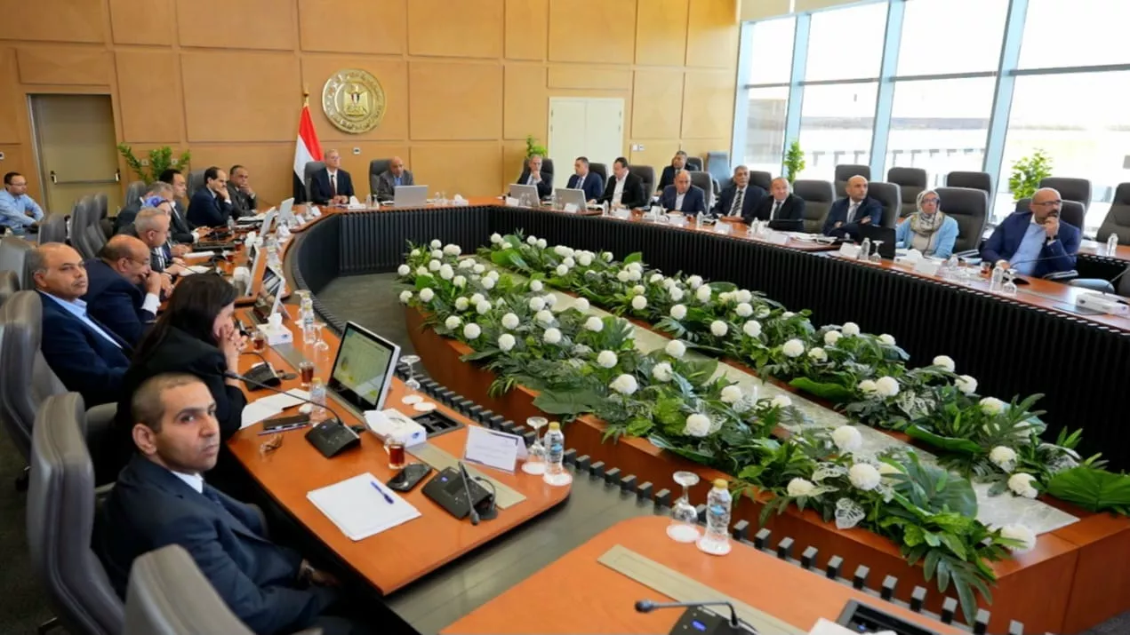 وزيرا البترول والكهرباء يناقشان خطة تأمين الكهرباء بالصيف