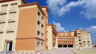المصدر