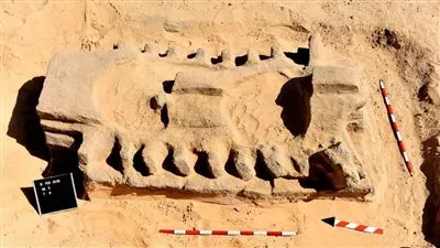 المصدر