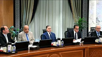 الحكومة توافق على منح الرخصة الذهبية لشركتين بمجال بطاريات تخزين الطاقة