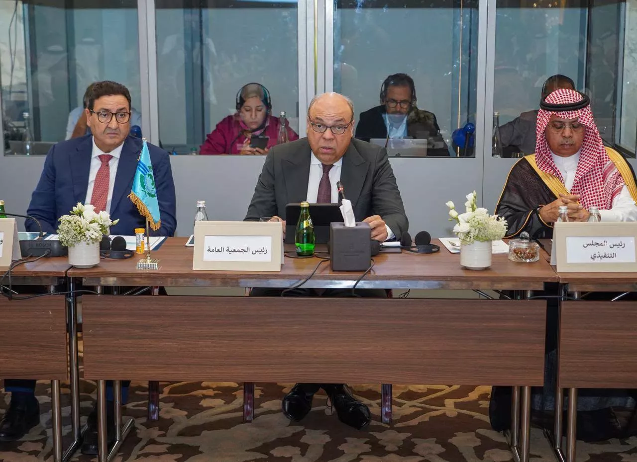 مصر ترأس الجمعية العامة للمنظمة العربية للطيران المدني 