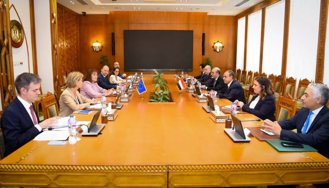 وزير الخارجية يجتمع مع المفوضة الأوروبية للمتوسط 