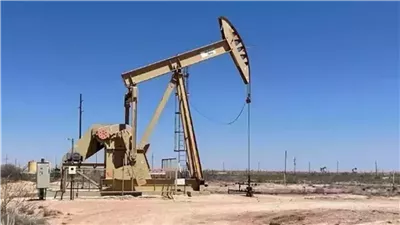 المصدر